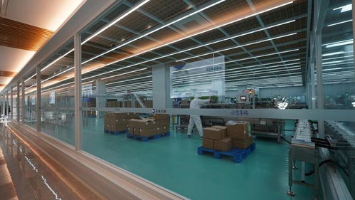 未來生物 以卓越品質與專業服務，鑄就生物技術開發領域的信賴之選